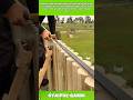 Satisfying Fence Top Cutting Process with Steel Guide #woodworking #fence #shorts