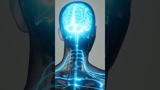 🌿 Discover the Healing Power of Acupuncture with Mike! 🌿