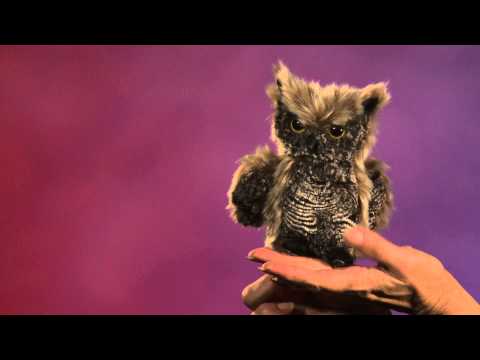 Folkmanis® Screech Owl Puppet Demo