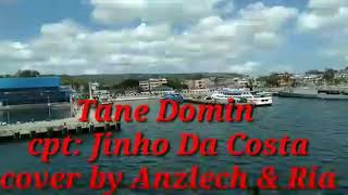 tane Domin