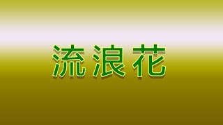 Karaoke - 流浪花 | 呂方 【伴奏/伴唱】