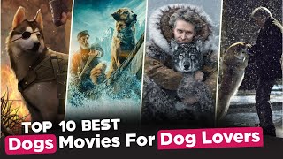 Top 10 Best Movies About Dogs | Best Movies for Dog Lovers