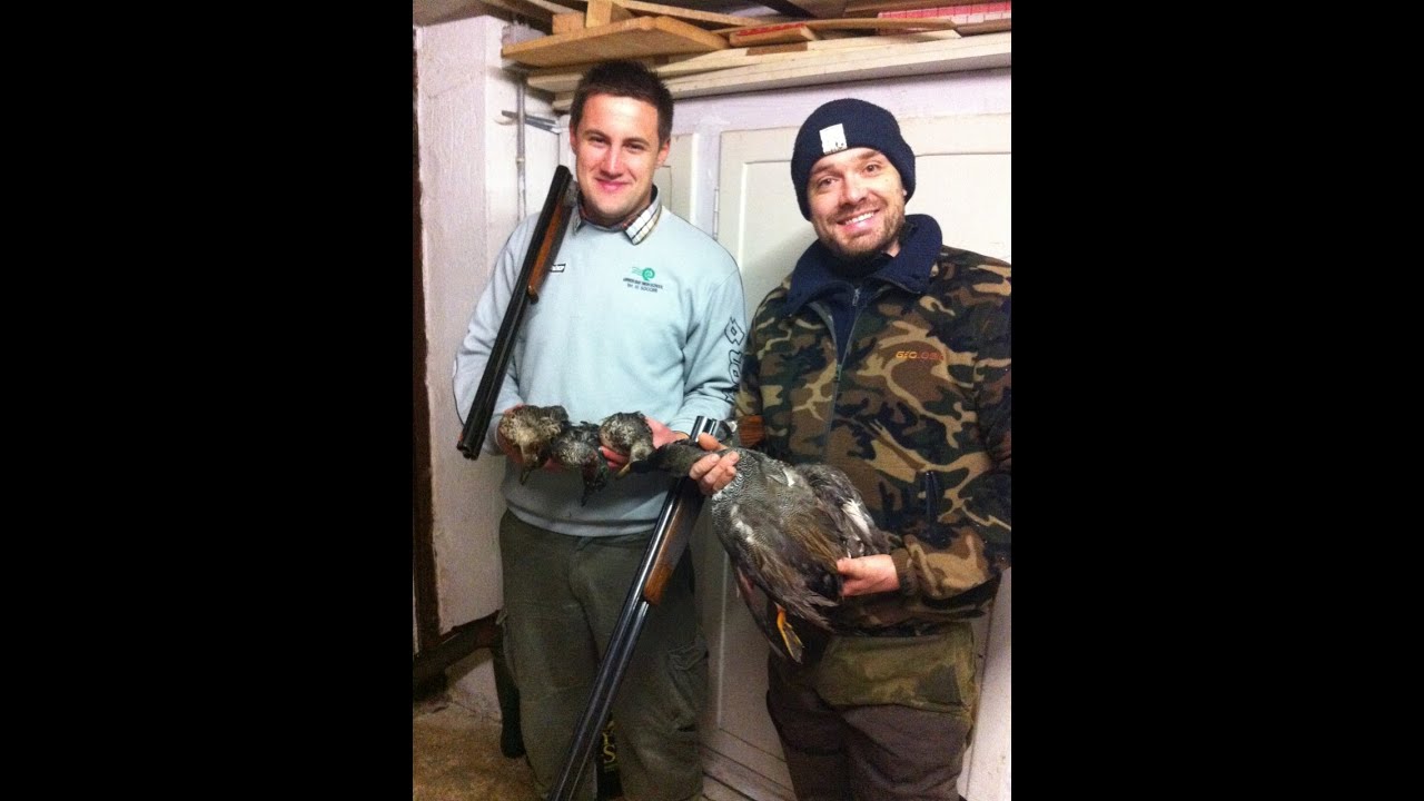 Passée aux canards Sarcelles et Chipeaux !