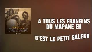 Panawaraboy - Salam Au Mapane ( vidéo lyrics )