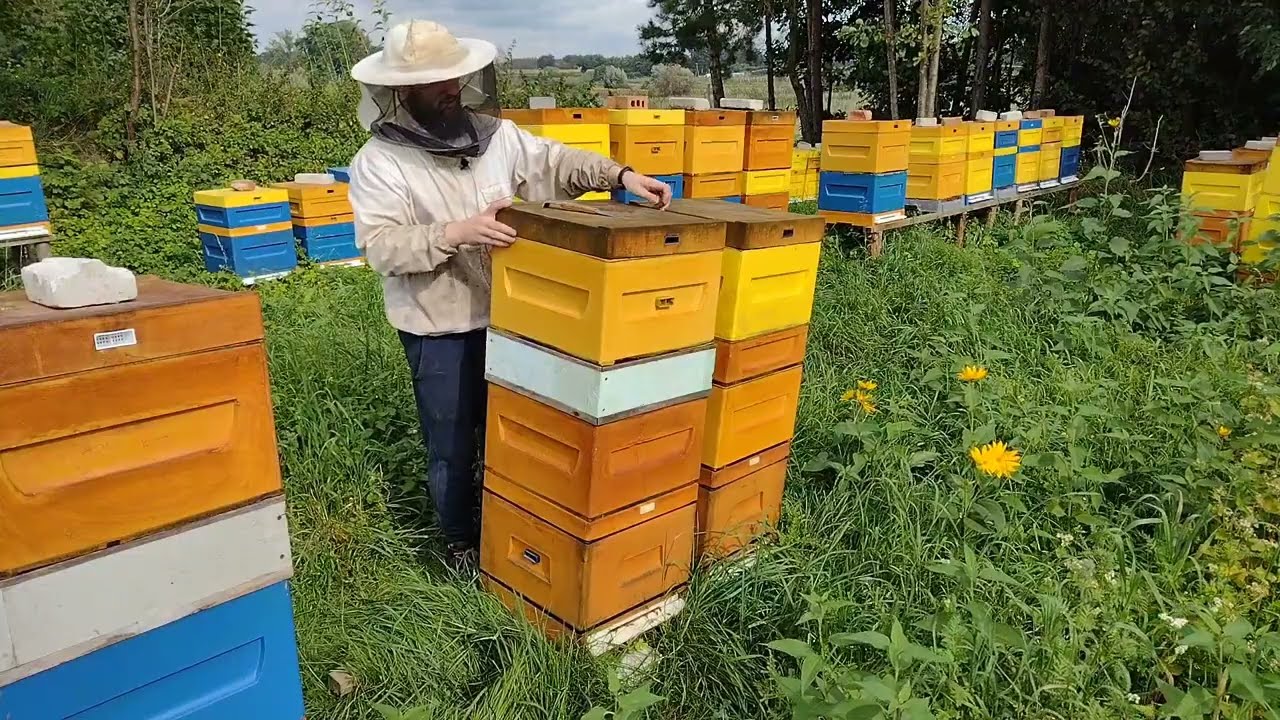Zimowanie ramek z suszem, prosta metoda