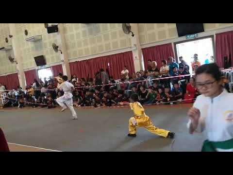 Jichu changquan | 基础长拳 | Wushu