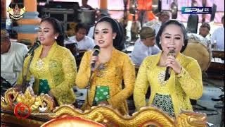 Lcr. Dayohe teko🔸Ngudi Laras live beruk || Deny-R soundsystem