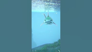 How to tame a Megalodon in 60 seconds #ark #arksurvivalevolved #gameplay