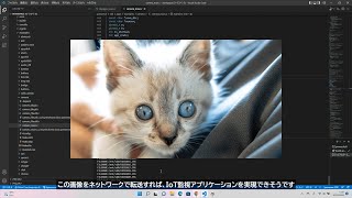 IxyDesignStudio｜How to use Camera Sample Application on SPRESENSE