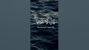 قال لا تخافا إنني معكما أسمع وأرى #قرآن_كريم #تلاوة_خاشعة #محمد_ديبيروف  #كاب_كات #راحة_نفسية