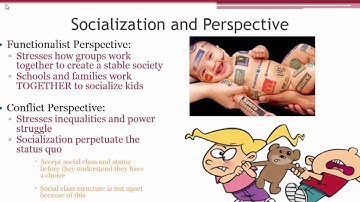 Socialization Overview