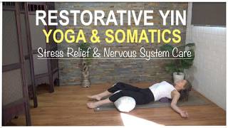 20 Min Restorative Yin Yoga & Somatics | Stress Relief, Nervous System Reset & Cortisol Detox