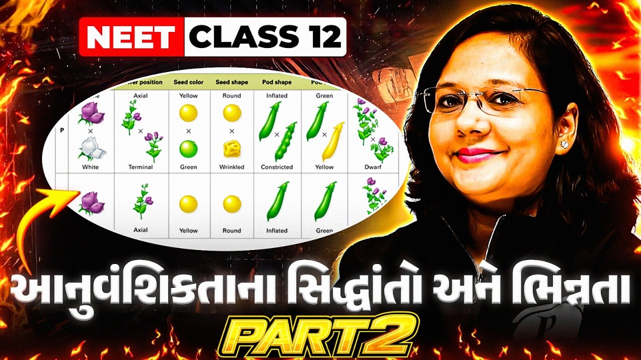 આનુવંશિકતાના સિદ્ધાંતો અને ભિન્નતા | Part 2 | COMPLETE BOTANY | NEET 2026 #Umeed