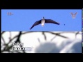 Весенняя охота на гусей в Усть-Янском улусе (Анонс)