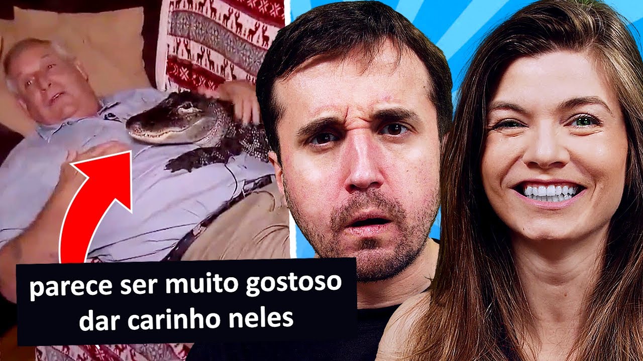 JACARÉ DE SUPORTE EMOCIONAL!