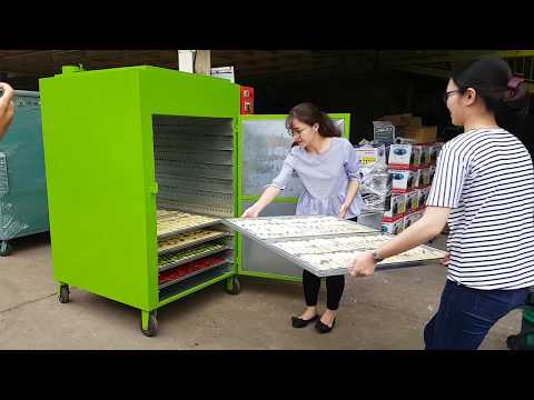 Máy sấy thực phẩm Bình Quân - Sấy thử hoa quả, thịt bò, rong biển