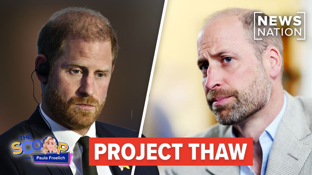 Royal Commentator Claims UK Labour Government Orchestrated Harry Reconciliation to Undermine Monarchy