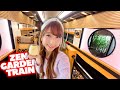 Inside Japan's Most BEAUTIFUL Train (Only $2.5 from Kyoto to Osaka!)