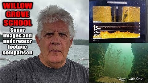 WILLOW GROVE SCHOOL – Sonar Images and Underwater Footage Comparison – Dale Hollow Lake