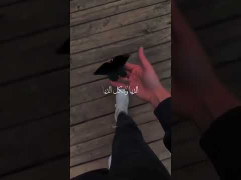 لكن انت ياعمري غير طبعا يا حبيبي غير حالات انستغرام ابلور لايك ذواقه حالات انستغرام