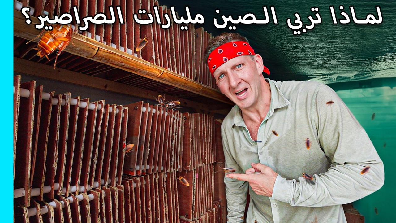 أكلت صرصورًا داخل أكبر مزرعة في الصين… صناعة مرعبة بالمليارات