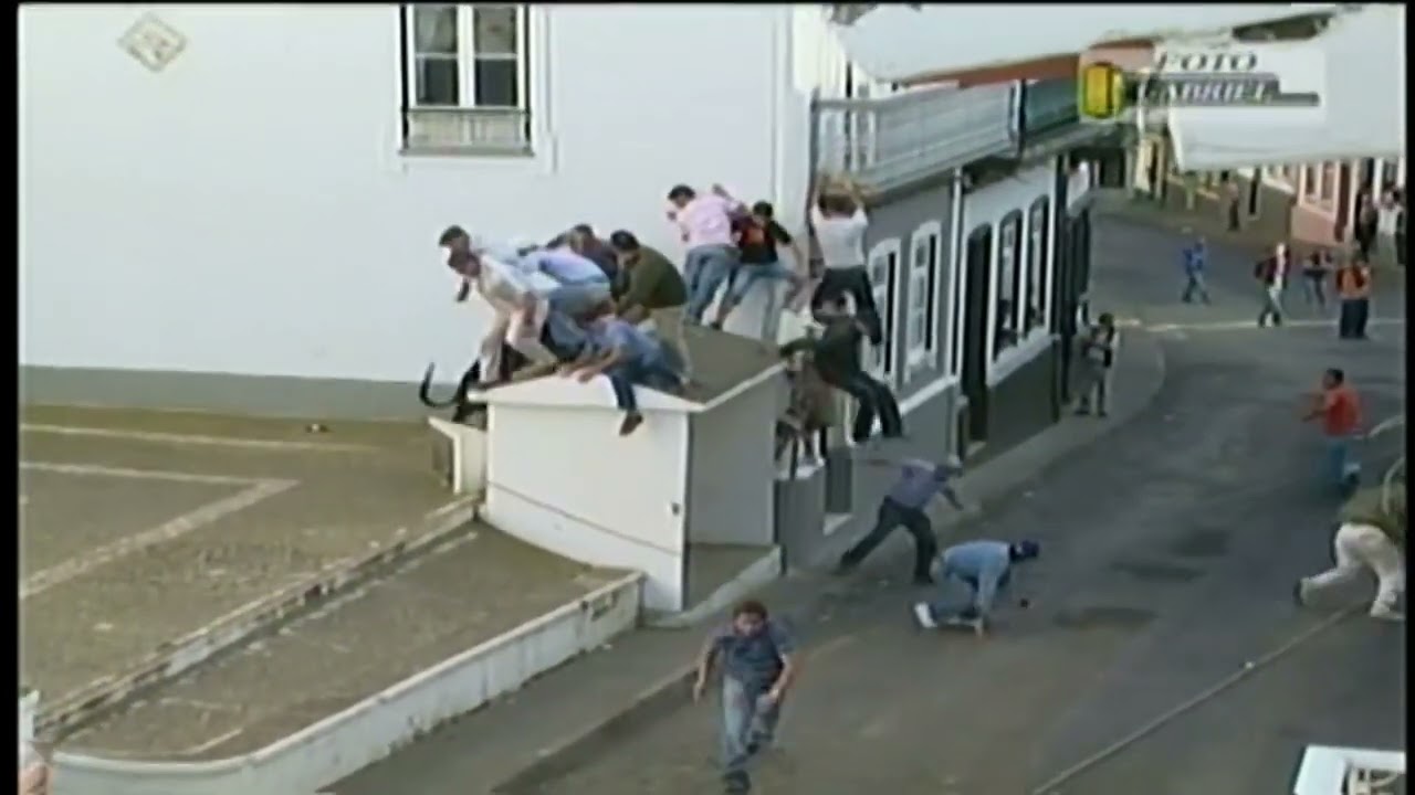 Rir Com Marradas Na Ilha Terceira