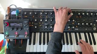 First 20 presets of Eventide H90 + Moog Subsequent 37 Bass preset no talking 