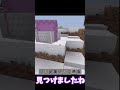 シュルカーを拠点に連れていく方法　前半#マイクラ統合版