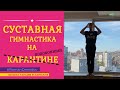 Суставная гимнастика на карантине ... подоконнике.