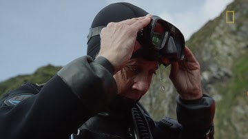 Women in Ocean Science for Marine #WorldHeritage: Jenn Caselle (Gough & Inaccessible Islands, UK)