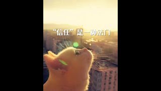 201203 “信任”是一种法门00018