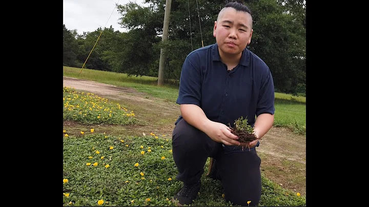 Contributions of Perennial Peanut to Pasture Soil ...