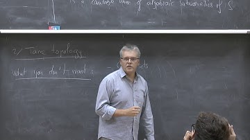 Bruno Klingler -- Tame topology and Hodge theory