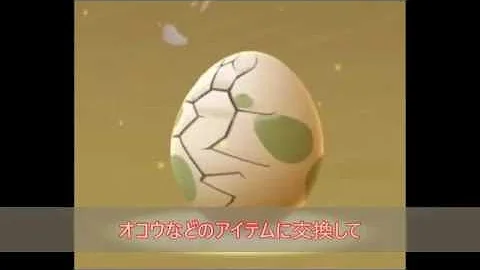ポケモン おこう 無限