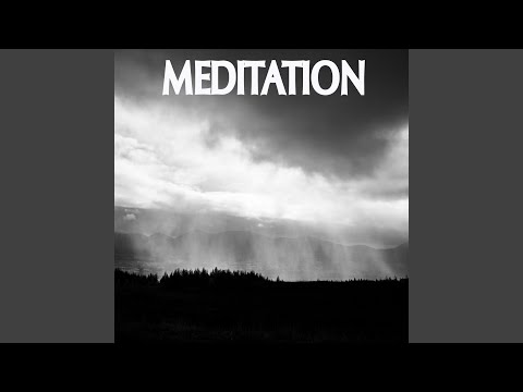 Ambient White Noise with Rain Drops
