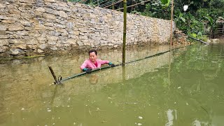 This is how the girl raises fish using cassava leaves ; ban thi diet