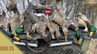Last Duck Hunt for 2024: Michigan Duck Hunting