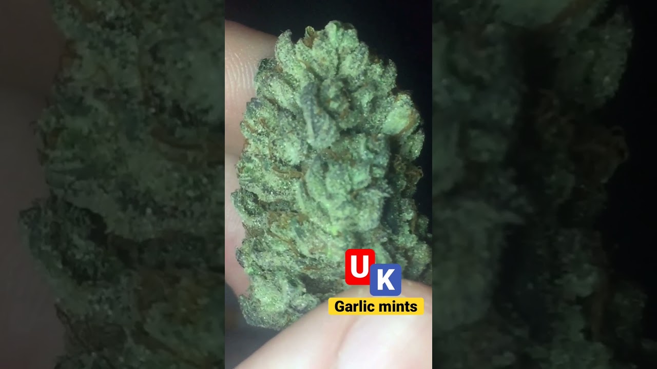 Garlic mints | Balaclavabuds 