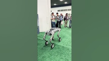 Unitree Legged Robots in IROS23 #robot # #technology #ai