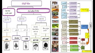 علوم 2 متوسط حصيلة التعلمات ص 124