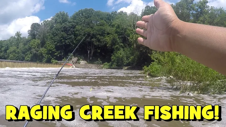 Fishing a RAGING CREEK! Are the SMALLIES Around?! ...