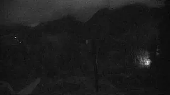 Cypress Eagle webcam