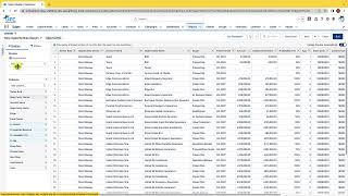 Salesforce Associate Certification - Salesforce Report Formats
