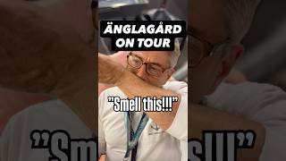 THE TRUTH ABOUT BACKSTAGE LIFE AT ÄNGLAGÅRD IN MALMÖ