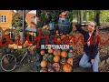 AUTUMN IN COPENHAGEN: Halloween in Tivoli, fall decorations for home and Danish hygge