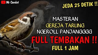 MASTERAN GEREJA TARUNG NGEROLL PANJANGGG || FULL TEMBAKAN DURASI 1 JAM !!