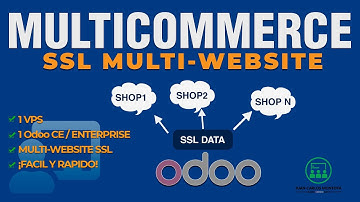 ⭐⭐【Odoo 13 14 Multi Website e-Commerce】 AUTO SSL PROXY (Service Plus)