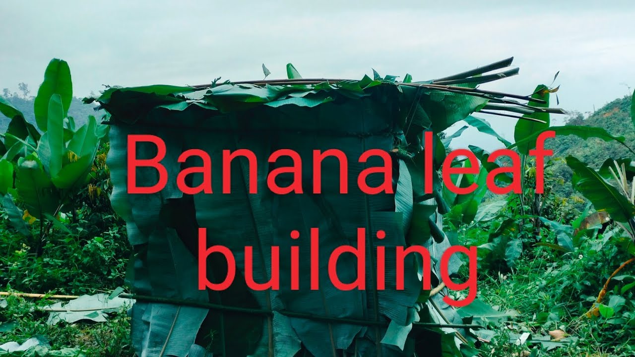 Silently building a banana leaf house