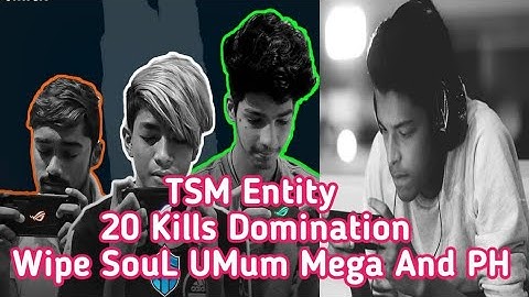 TSM Entity Unstoppable 20 Kills Chicken | This Is How Entity Plays Aggressive