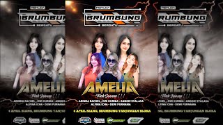 LIVE AMELIA MAK JOOSSS -  HALAL BI HALAL ' PEMUDA BRUMBUNG BERSATU BERSATU ' // 04 APRIL 2025